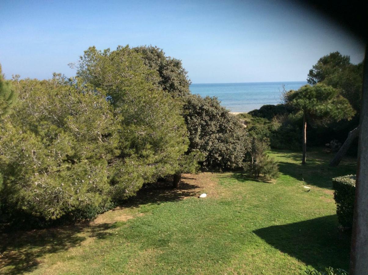 Entre Mer Et Piscine Ιέρ Εξωτερικό φωτογραφία